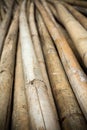 Close up background of dry thick bamboo poles Royalty Free Stock Photo