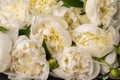 Close up background of fresh bouquet of white peonies. Selective focus wedding flowers flat lay