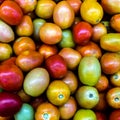 Close up Background of Fresh colorful Tomato and No pesticide residue in The organic market