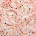 fresh dried shrimp