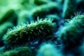Close up background of green bacteria germs