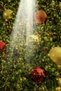 Close up background image of decorated outdoor Christmas tree w