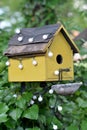 Close up background. Nestbox on a tree.