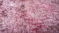 Detailed view of pink fabric texture background. Traditional ethnic texture carpet design. Royalty Free Stock Photo