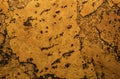 Close Up Background and Texture of Cork Board Wood Surface Royalty Free Stock Photo