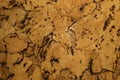 Close Up Background and Texture of Cork Board Wood Surface Royalty Free Stock Photo