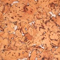 Close-up background and texture of cork board wood surface Royalty Free Stock Photo