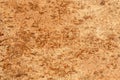 Close Up Background and Texture of Cork Board Wood Surface Royalty Free Stock Photo