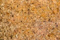 Close Up Background and Texture of Cork Board Wood Surface, Nature Product Industrial Royalty Free Stock Photo