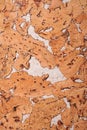 Close-up background and texture of cork board wood surface Royalty Free Stock Photo