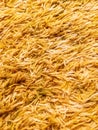 Close up background texture of long carpet shag