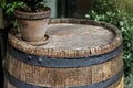 Close-up background of top of old retro vintage weathered wooden cask barrel with flower pot. Wineyard, distillery, pub Royalty Free Stock Photo