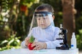 Close-up background view of a cute boy Who are experimenting to learn scientific processes at home, learning outside the classroom Royalty Free Stock Photo