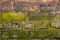 Close up background wall texture of old weathered common clay brick masonry with green moss and efflorescence on lower half of