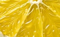 Close up background of yellow fresh lemon slice