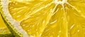 Close up background of yellow fresh lemon slice