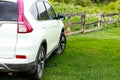 Close up backside of dirty car. rear view of white car on green grass background in country house Royalty Free Stock Photo