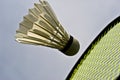 Close-up badminton