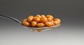 Close-up of Baked Beans in Sauce on a Silver Spoon, Droplets Forming Royalty Free Stock Photo