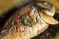 Close-up of baked gilt-head bream with garlic sauce and a sprig of parsley decorating the skin.