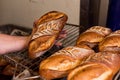 Close up of baker touching and testing fresh hadmade bread with flour in bakery shop. concept of passion and care for a handmade t Royalty Free Stock Photo