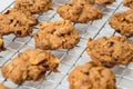 Cranberry cookies