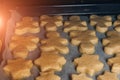 Close-up baking sheet with shortbread of different shapes in the oven. Preparing for Christmas. Cooking cookies at home Royalty Free Stock Photo