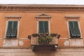 close up of balcony with plants and flowers on old house with windows, Royalty Free Stock Photo