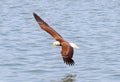 A close up of a Bald Eagle flying over water Royalty Free Stock Photo