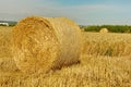 Close-up of bale of wheat strows Royalty Free Stock Photo