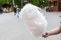 Close-up on a ball of cotton candy on a stick in a manÃ¢â¬â¢s hand on a street background in a park during a weekend walk Royalty Free Stock Photo