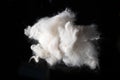 Close-up of ball of white hair from standard poodle on black background Royalty Free Stock Photo