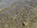 Close up of Baltic sea ripple on water surface with sunlight reflecting on a sunny day. Various size smooth brown stones Royalty Free Stock Photo