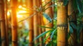 A close up of a bamboo forest with the sun shining through, AI