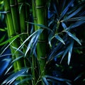 a close up of a bamboo plant with green leaves