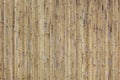 Bamboo texture background. Royalty Free Stock Photo