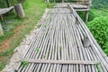 Bamboo wood walkway in green field in rural area