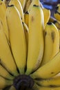 Close-up of banana bunch Royalty Free Stock Photo