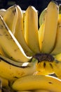 Close-up of banana bunch Royalty Free Stock Photo