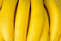 close up banana yellow pattern