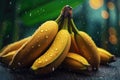 close-up of a bananas with rain drops on blurred background