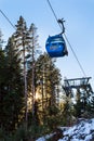 Close up Bansko cable car cabin, pine trees and