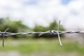 Close up of barb wire with blurred tree and sky background Royalty Free Stock Photo