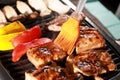 Close-up Barbecue sauce brush with smoke and Barbecue Pork, tomato, yellow bell pepper, mushroom on the barbecue stove grill. Royalty Free Stock Photo