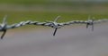 Close-up of barbed wire