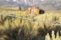 Close up of barbed wire and abandoned house