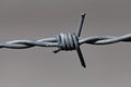 Close-up of barbed wire