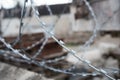 Close-up of barbed wire. Concept of restriction of freedom. Background, texture