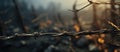 Close up of barbed wire fence with blurred background Royalty Free Stock Photo