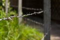Close up on barbed wire fence